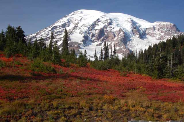 Mt. Rainier